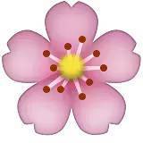 深化行業認知，共謀發展新篇——中煤蒙大公司特邀孫惠民授課經濟信息咨詢